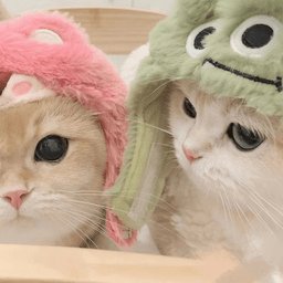 嘤嘤怪影视app最新版 v2.6 安卓版