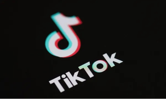 Tiktok作为最热门的全球性软件，在许多国家都受到了用户的欢迎，大家用它拍摄制作有趣好玩的短视频，并分享到自己的账户上。软件还提供了多种多样的滤镜效果，帮助大家更好的拍摄制作自己的视频。这里有Tiktok的全部版本，方便大家选择自己想要的