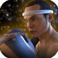 泰拳2格斗冲突安卓版下载_泰拳2格斗冲突手机版下载