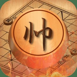 天天下象棋教学app