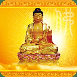 认识佛教电子版