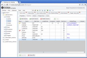 DbNinja3.2.2
