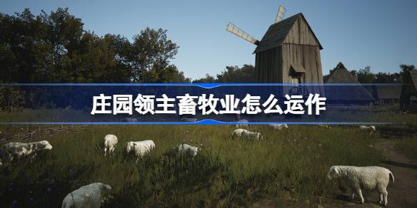 庄园领主畜牧业怎么运作 庄园领主畜牧业教学