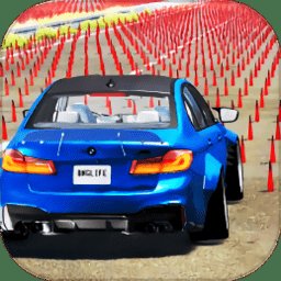 开车遨游模拟游戏最新版 v1.0 安卓版