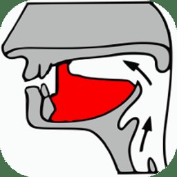 小学英语自然拼读课堂app v1.7.08 安卓版