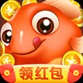锦鲤大亨app红包版安卓版安卓版下载_锦鲤大亨app红包版安卓版手机版下载