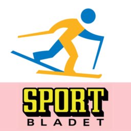 滑雪小能手汉化版