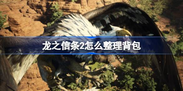 龙之信条2怎么整理背包 龙之信条2背包整理技能书获取