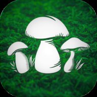 真实采蘑菇模拟器游戏官方版The Mushroom Hunter v1.9 最新版