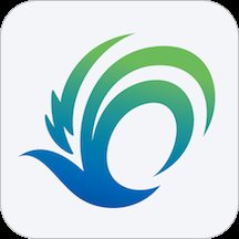 美丽武清软件 v2.7.4 安卓版