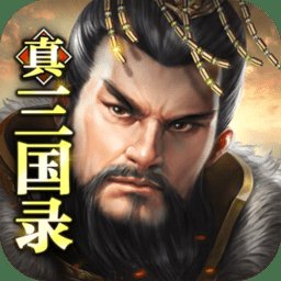 真三国录手游九游版
