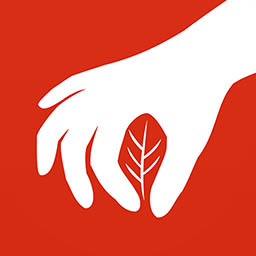 药采采app官方版 v2.3.7 安卓版