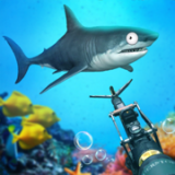 水族馆杀手安卓版下载_水族馆杀手手机版下载