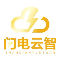 闪电云智软件