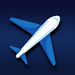 空乘管制游戏 v1.0.1 安卓版