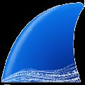 Wireshark 4.0.2.6