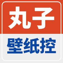 丸子壁纸控app最新版 v1.0.1 安卓版