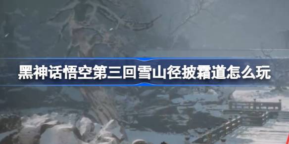 黑神话悟空第三回雪山径披霜道怎么玩 第三回雪山径披霜道主线攻略