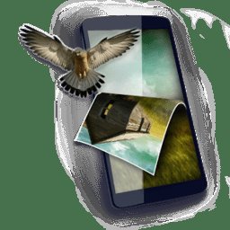 3dwallpaper抖音版