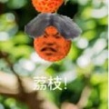 新概念音游安卓版下载_新概念音游手机版下载