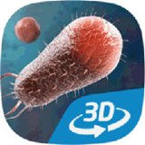 细菌互动教育3D安卓版下载_细菌互动教育3D手机版下载