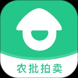 道农拍app