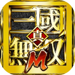 真三国无双m亚服(gamedwm) v1.0.0 安卓版