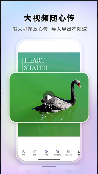 图小小相册app1.1.8.13