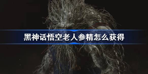 黑神话悟空老人参精怎么获得 黑神话悟空老人参精精魄获取攻略