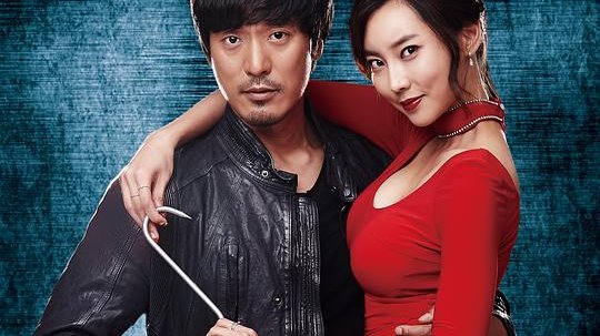 屠夫小姐  的海报