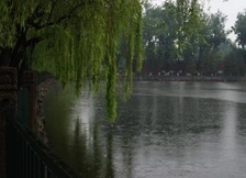 雨景图片