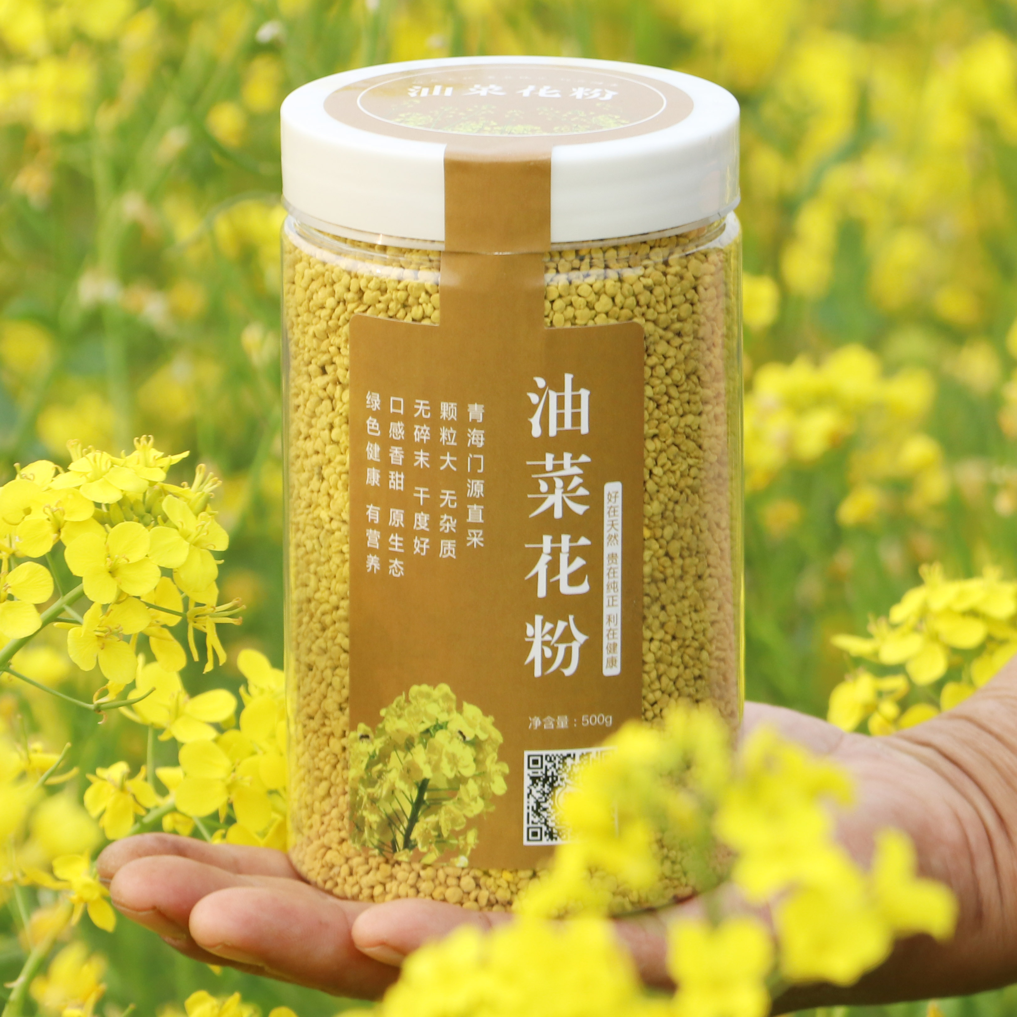 25年新鲜青海油菜花粉：纯正天然，男性前列健康守护神！
