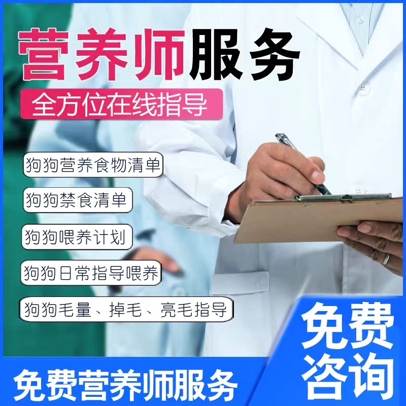 广西犬舍纯种哈士奇：三把火蓝眼小中型二哈犬，宠物狗界的颜值担当！