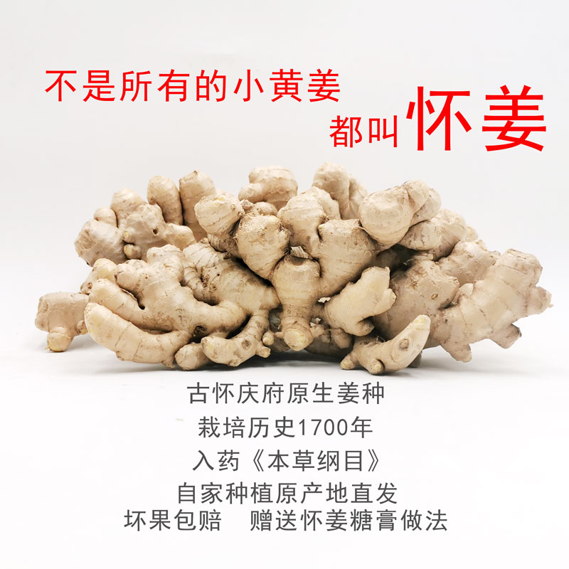 怀姜河南焦作博爱正宗土特产，月子姜的温暖守护者！