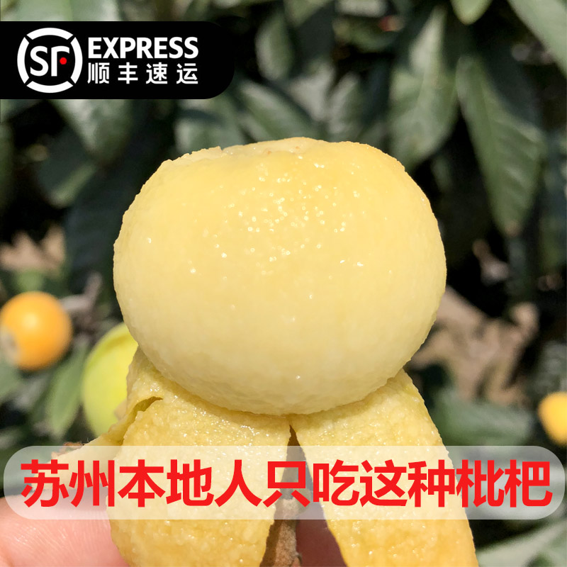 顺丰速递：贵妃白玉枇杷，甜如初恋的味觉盛宴！