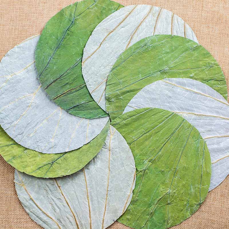 微山湖新鲜干荷叶蒸饭：解锁传统美食新吃法，让你大呼过瘾！