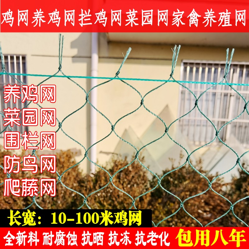养鸡网养殖网大揭秘：如何用尼龙网打造完美围栏，保护你的家禽小宝贝！