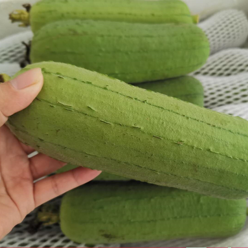 盒马日日鲜丝瓜尖250g：如何在家轻松享用新鲜蔬菜的秘密武器！
