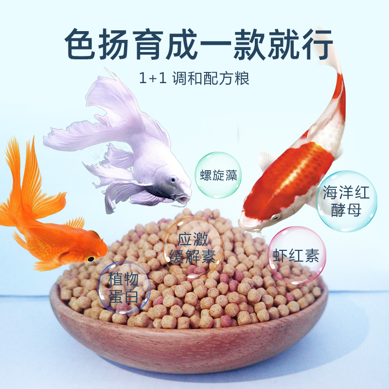 观赏鱼盛宴：如何选择金鱼饲料与锦鲤鱼食，让水质清澈不浑水？