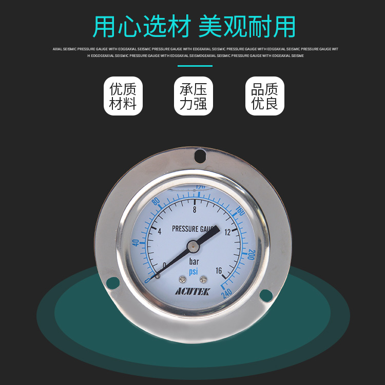 ACUTEK耐震压力表YN60：10bar PT1/4，气压液压双效防震神器！