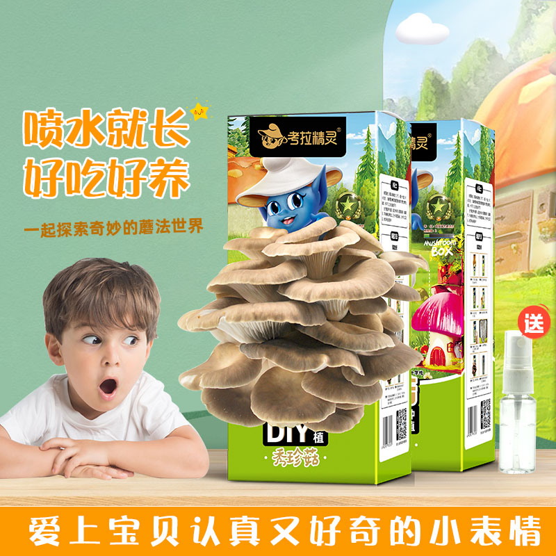 考拉海购的运营模式是什么？揭秘跨境电商的“宝藏”玩法！