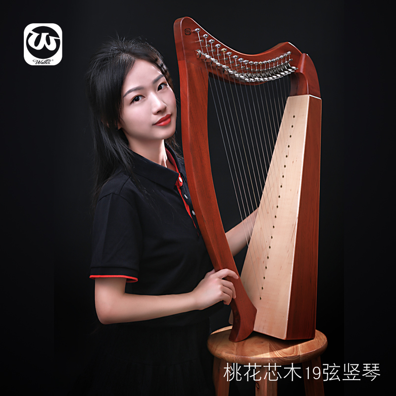 沃尔特竖琴15/19/23弦：初学者的冷门小箜篌乐器，轻松入门的音乐之旅！