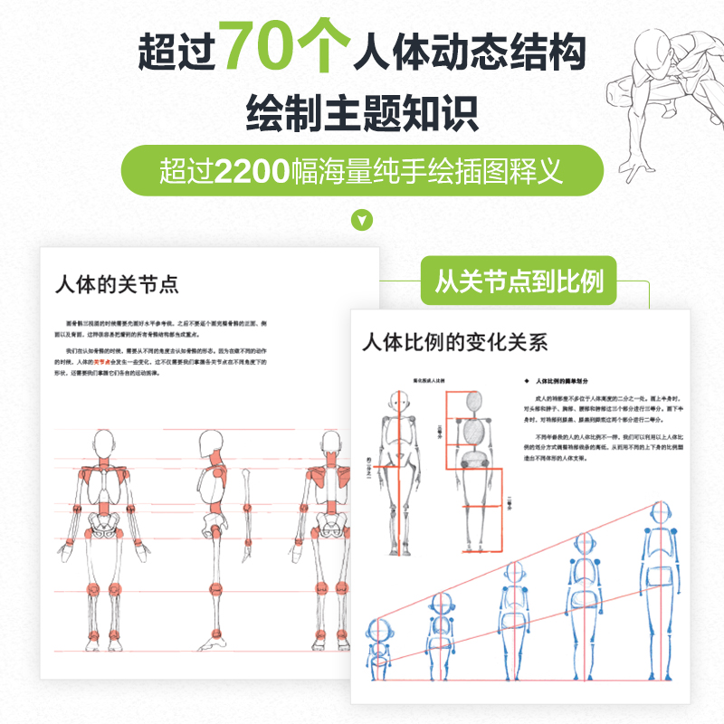 人体结构原理与绘画教学：肖玮春教你如何绘制栩栩如生的人物素描