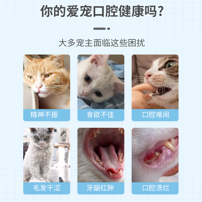 猫咪口炎救星！这瓶喷剂让我家主子秒变“吃货”