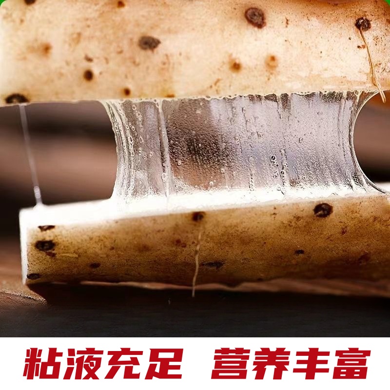 温县垆土铁棍山药：正宗河南特产，健康养生新选择