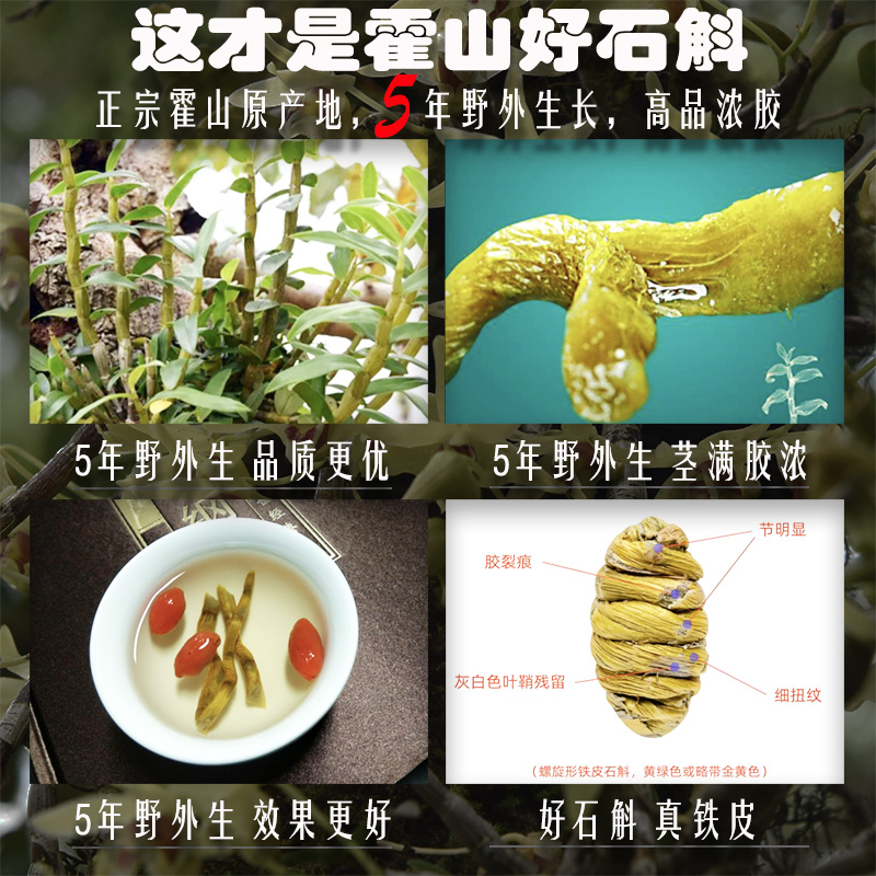 霍山铁皮石斛真的这么神？养生党必看！这波不冲亏麻了
