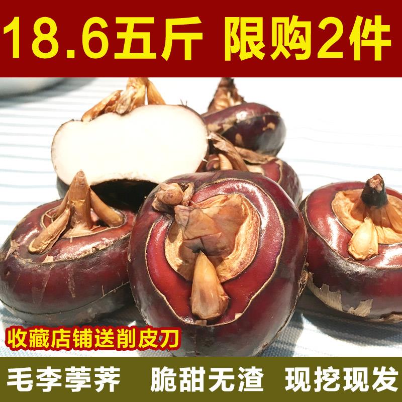 正宗湖北毛李红马蹄：鲜甜脆爽，唤醒味蕾的地道美味