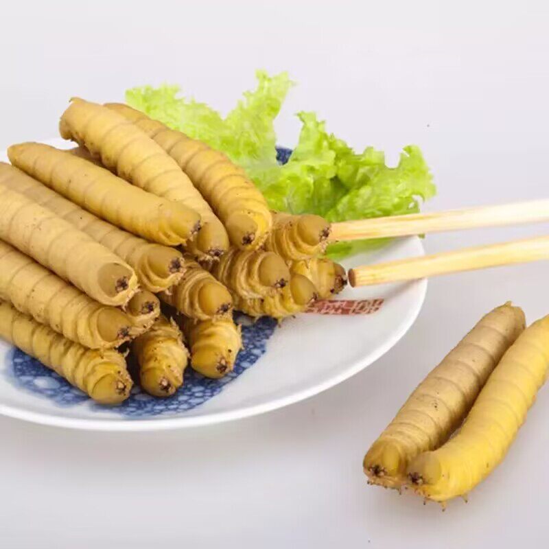 如何挑选新鲜美味的豆虫？