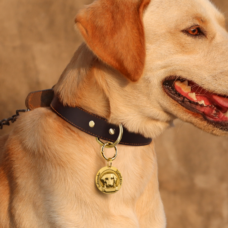 牛皮狗狗项圈：中大型犬必备，拉布拉多、金毛、哈士奇、马犬的完美选择！