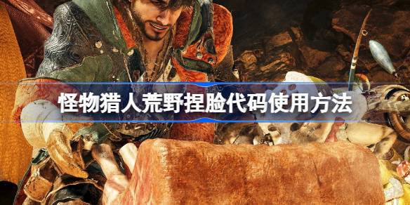 怪物猎人荒野捏脸代码在哪里使用 怪物猎人荒野捏脸代码使用方法